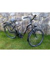 MATEO ECO RETRO BICYKEL 26" CHAMELEON 2024